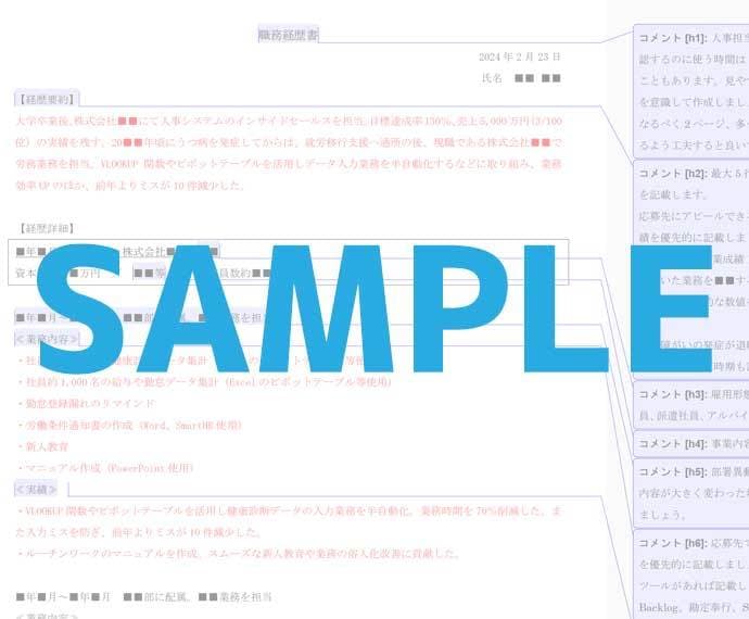 障がい者枠向け｜職務経歴書テンプレをお渡しします 現役人事・元転職エージェントが作成した"通過する"テンプレ イメージ3