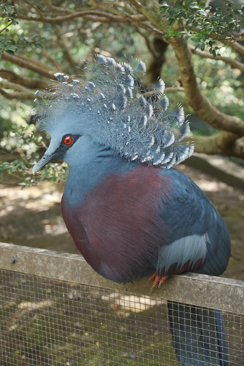 あなたの代わりに動物を撮影します 【動物好きによる】物件カメラマンの動物撮影代行 イメージ2