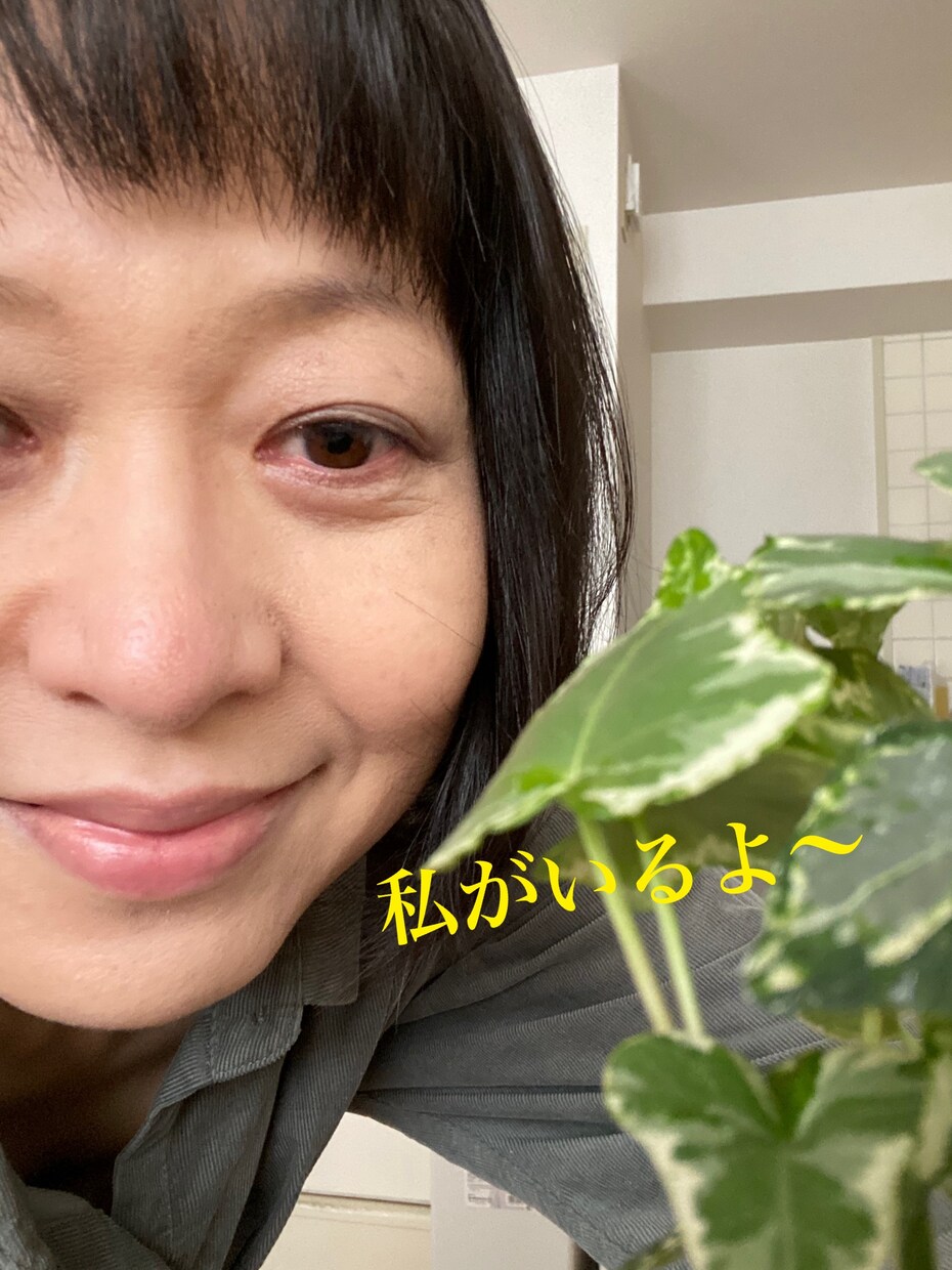 タイプが異なるうつ克服4回の私が寄り添います うつになりそう/なったレベルの生き辛さ何でも受け止めます❗️ イメージ5