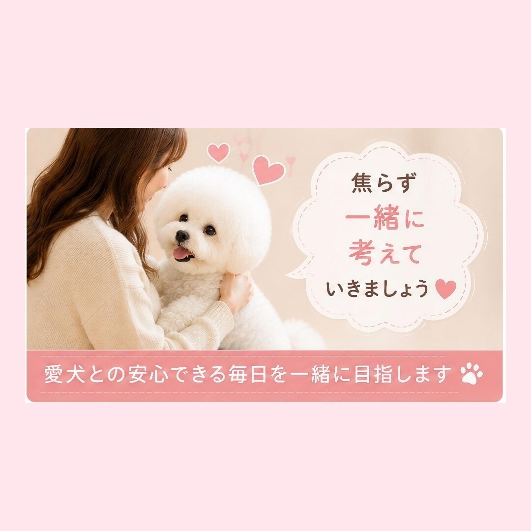 愛犬のお留守番、不安なお気持ちお聞きしますます お留守番が苦手な愛犬を一緒にサポートします イメージ5