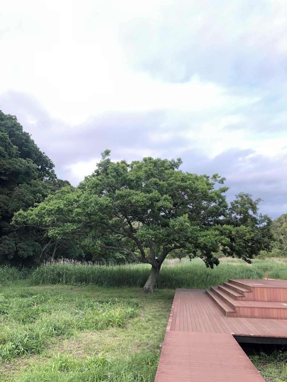 女性限定⭐︎頑張るママ・女性を応援します 子育て、夫婦、ママ友の悩み、お話聞きます。寄り添います。 イメージ1