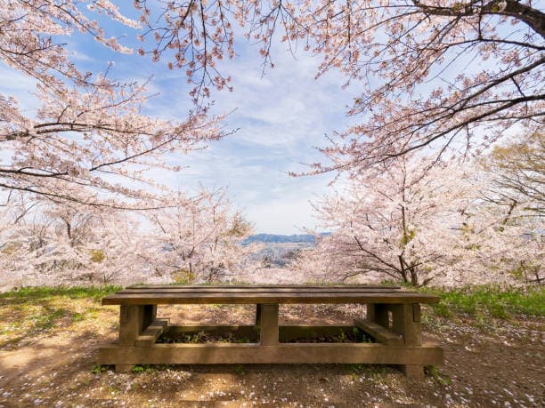 心のモヤモヤなど何でもお話や愚痴など聞きます とりあえず聞いて欲しい、わかって欲しいなど全て受け止めます。 イメージ7