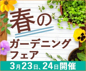初回1,500円〜♡バナー、ヘッダー制作致します おまかせOK！シンプルお洒落なモノから可愛いデザインなど♡ イメージ7