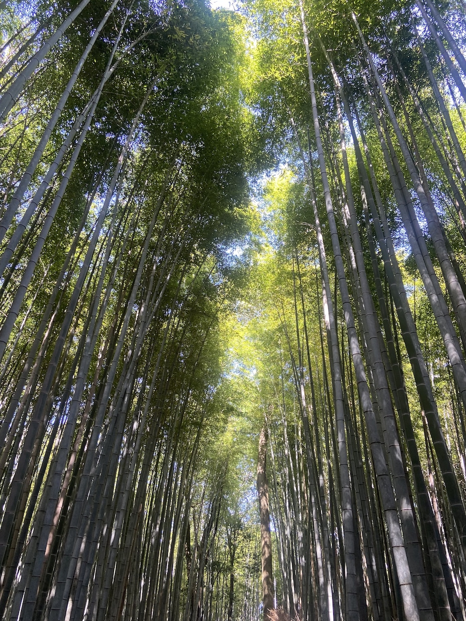 恋愛も夫婦も仕事も。あなたの悩み聞きますます 男目線で本音の意見も。ただ聞くだけの雑談もOKです イメージ1