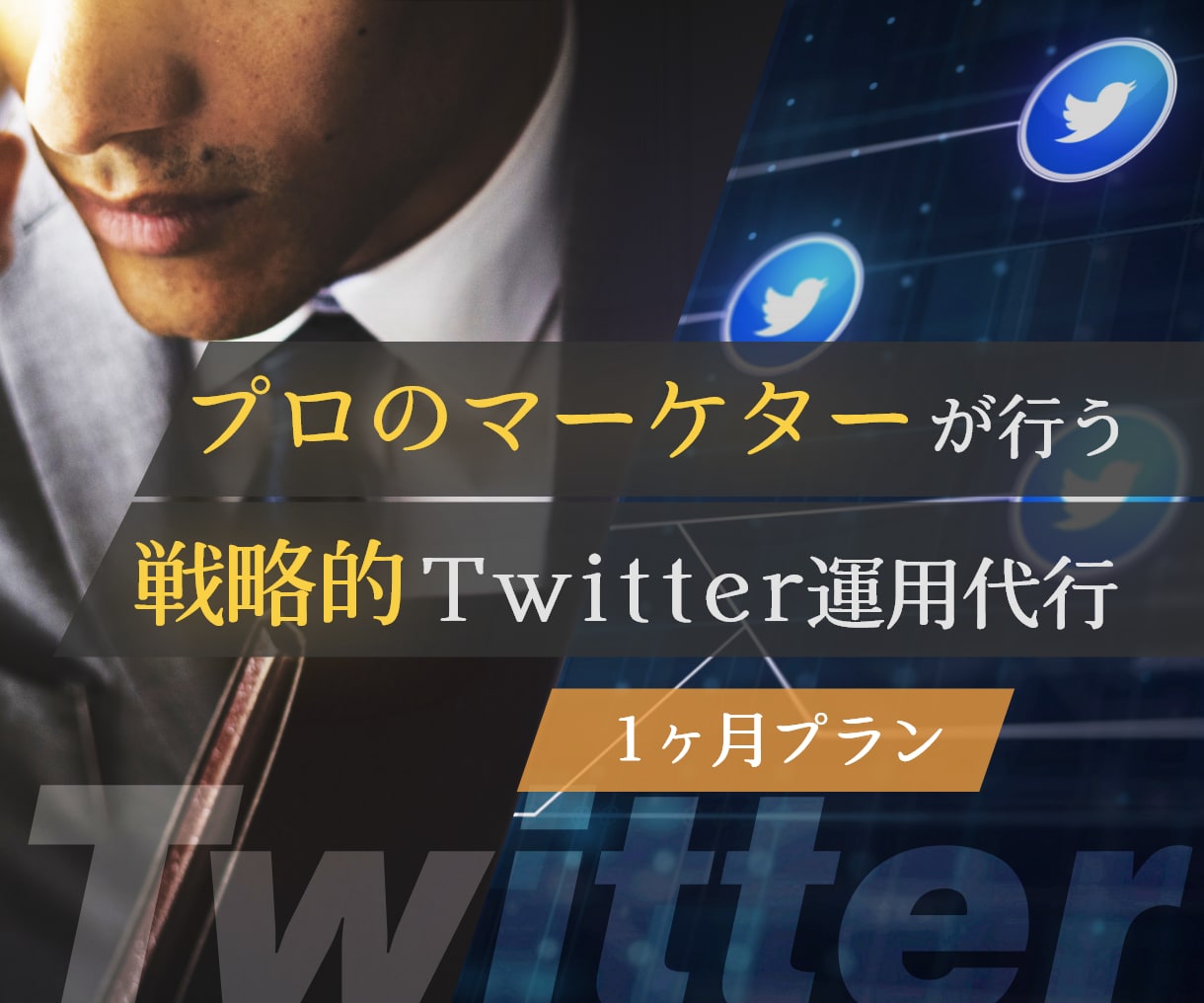 プロマーケターが1ヶ月Xを運用代行します 効果的な運用で売上・集客に繋げたい方へのサービスです イメージ1