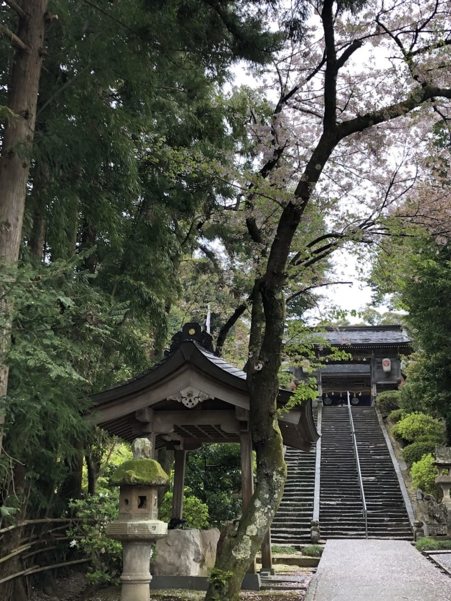 ご希望の出雲地域の神社へ参拝祈願致します 運命的な人やお仕事のご縁、健康など様々な御利益を皆さまに イメージ8