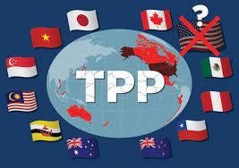 日EU・TPP協定の輸入者証明書類を代行作成します 日EU・TPP協定の輸入者証明書類を作成します。 イメージ1