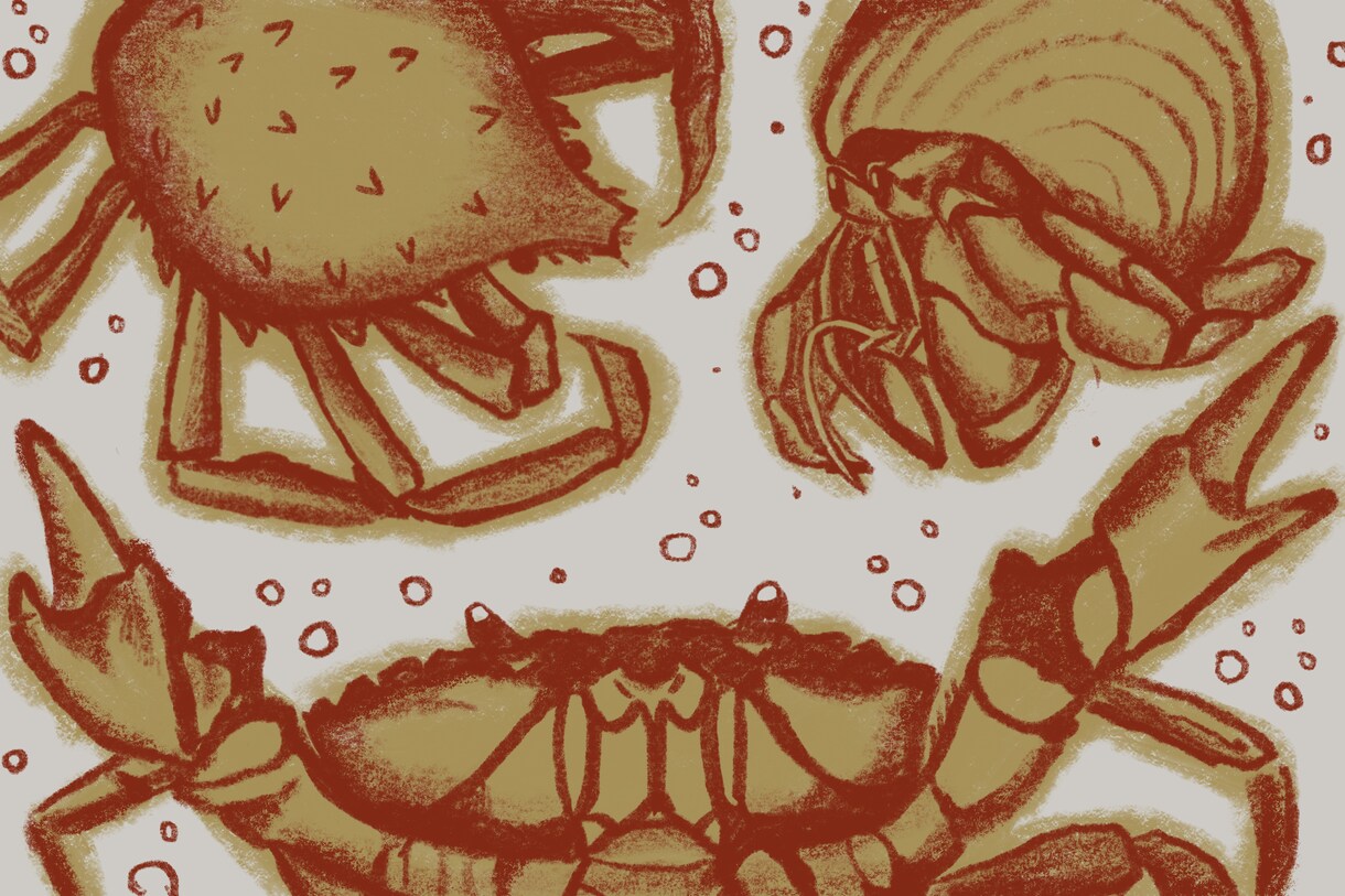 動物や生き物の手書きイラスト描きます 元理系ならではの細やかな観察力を活かしたリアルな絵を描きます イメージ1