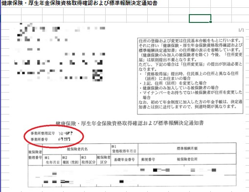 入社時の社会保険／雇用保険のお手続き代行します ⭕️社労士が法律と経験を元に迅速にサポート⭕️ イメージ2