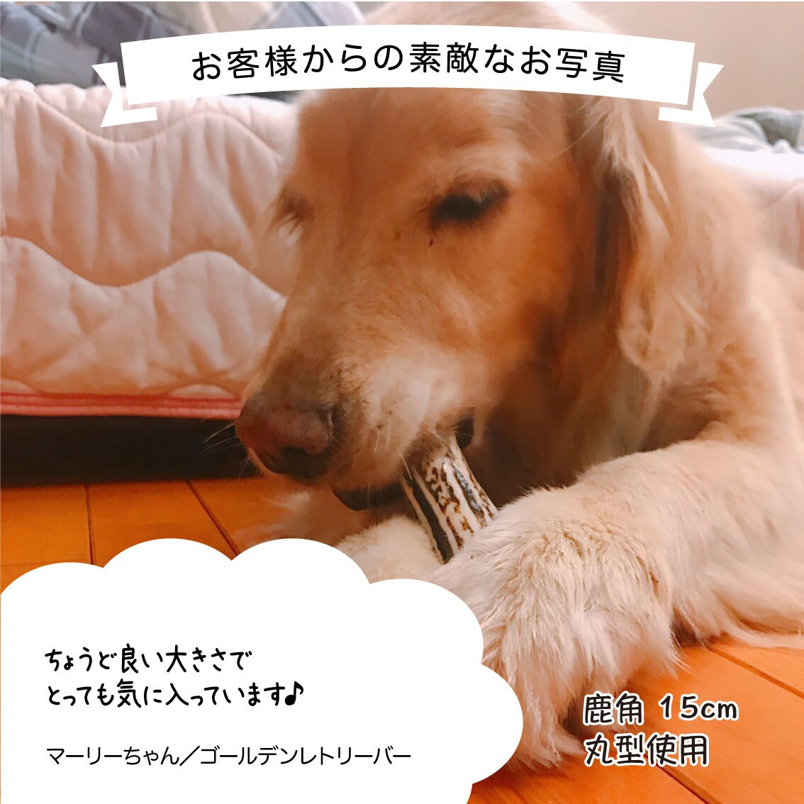 目的に合った商品画像・ロゴ・バナー制作します ココナラ初心者歓迎！これからWebの素材が必要な方へ！ イメージ6