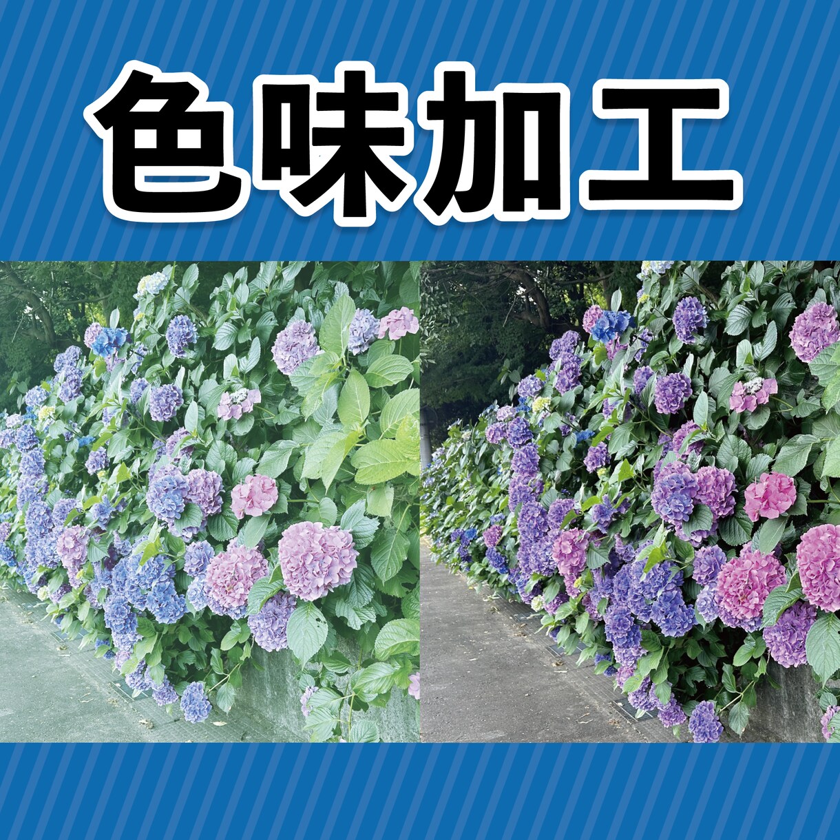 画像加工いたします。1000円からます 安くて綺麗に加工します。修正無料無制限 イメージ3