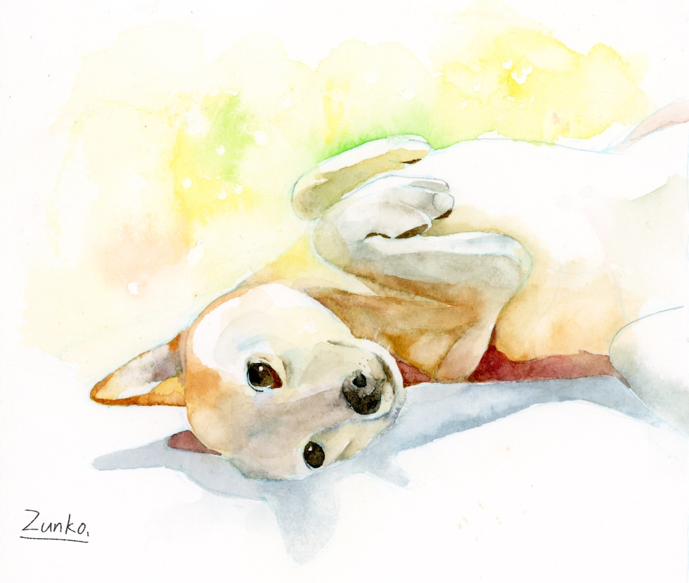 透明水彩でペットや動物の似顔絵を描きます 手描きならではの温もりを手元に。プレゼントにも イメージ10