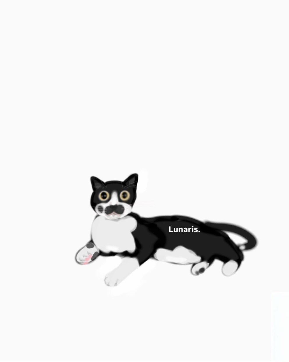 オーダーでつくる “うちの子スタンプ”制作します ペットの写真から素敵なLINEスタンプを制作します！ イメージ5