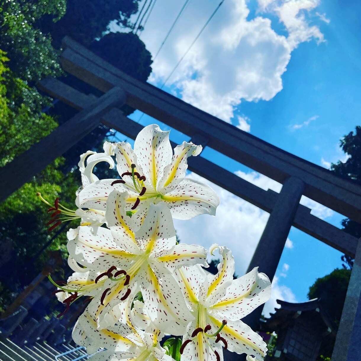 自分自身をもっと知りたい★数秘術で鑑定します 「生まれた日」には文字という暗号が隠されています イメージ1