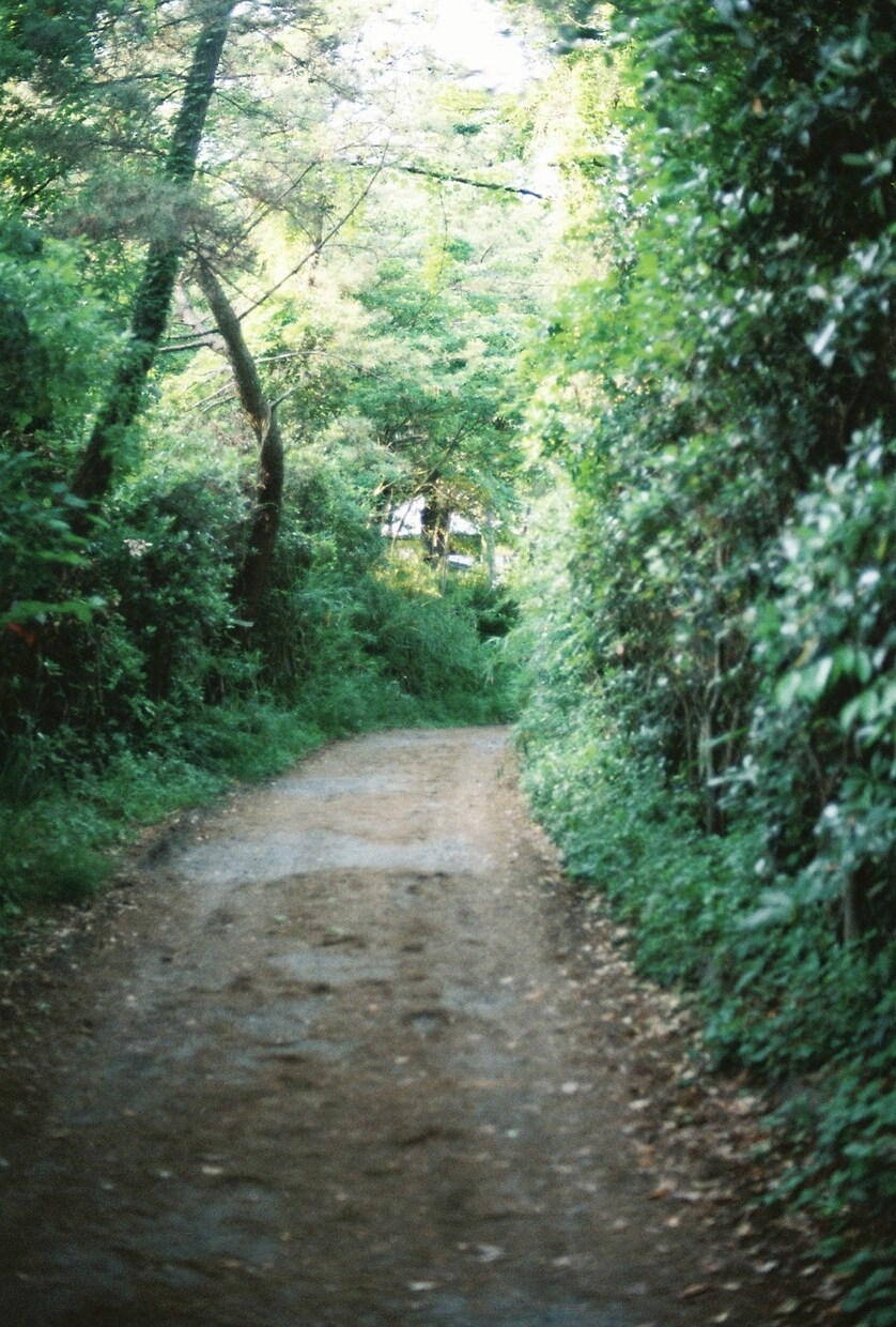 あなたらしさに寄り添うフィルム写真を撮ります あなたの言葉にできない気持ちや夢で見た景色を可視化します イメージ5