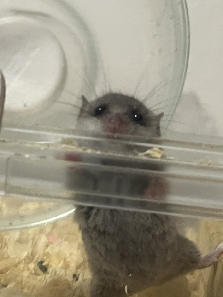 生きづらさ、感じてませんか？その辛さお伺いします いつだって誰だってつらい時はある。そんな時のよりどころに イメージ1