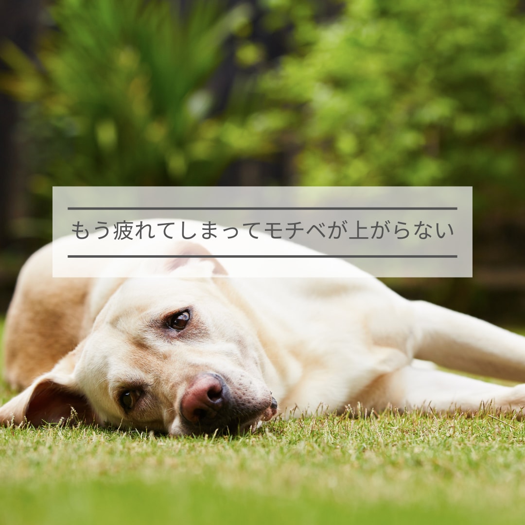 coconala電話相談でのお困り事☆お聞きします 初出品✿お客様対応✿愚痴✿アドバイス✿お悩みお聞かせください イメージ7