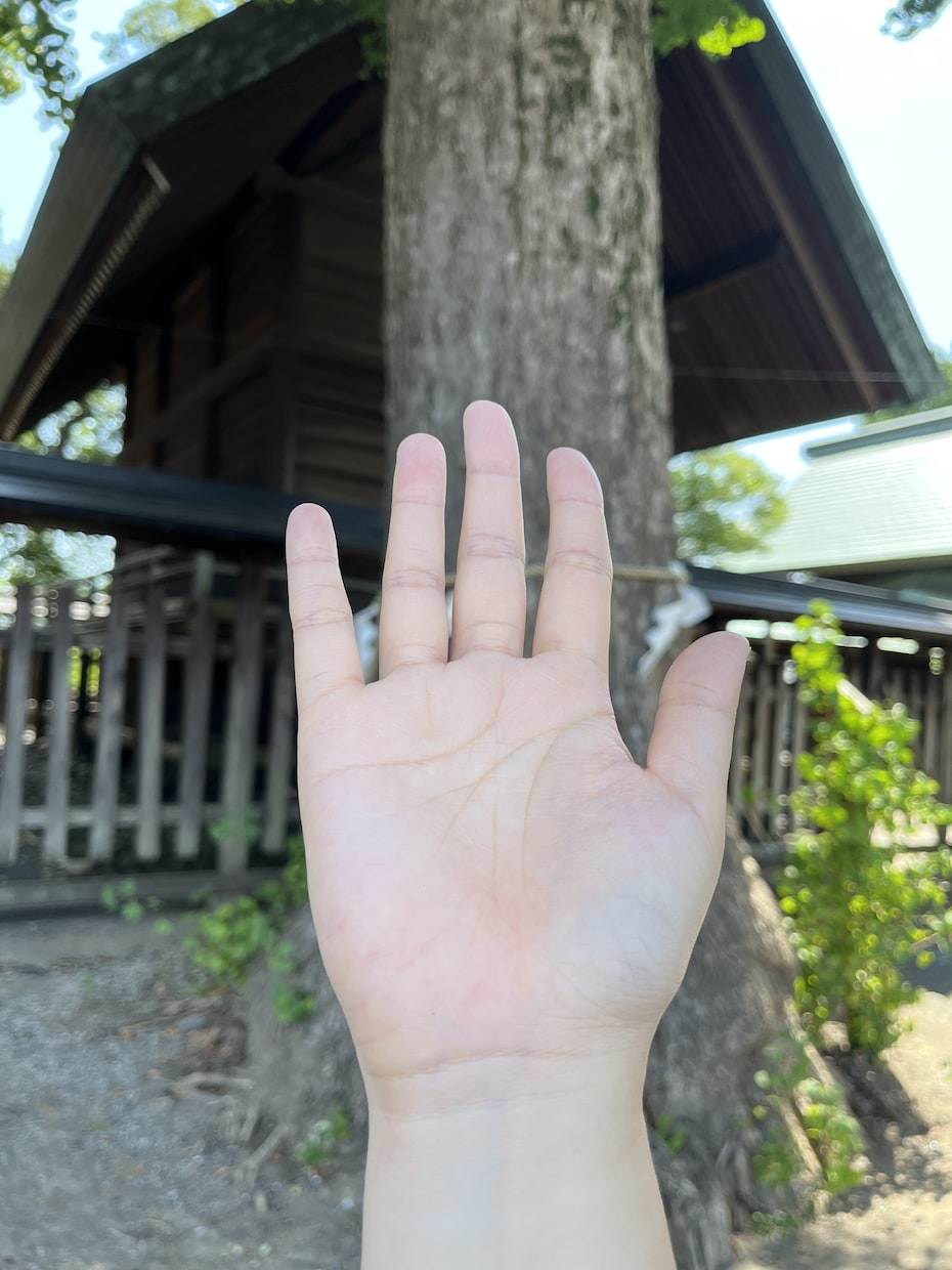手相で基本的性質鑑定します 手のお写真をお送りください。基本的性質について鑑定いたします イメージ1
