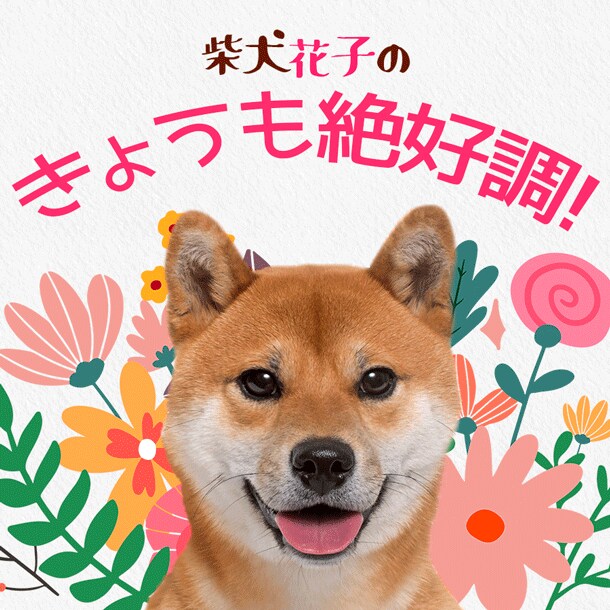 動物が主役のヘッダー、バナーをデザインします 愛するペット画像であなたメディアをさらに盛り上げませんか？ イメージ1