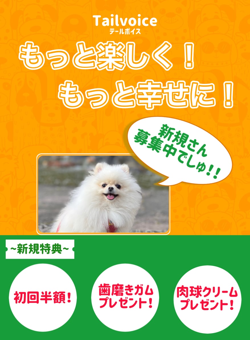 ペットや人を幸せにします トレーニングやケア（人や全動物） イメージ1
