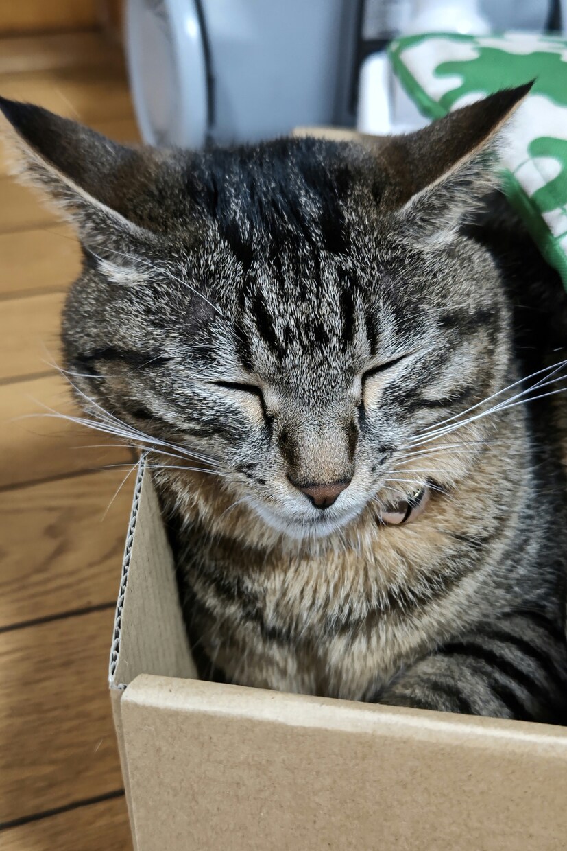 うつの経験をいかし、話し相手、相談にのります コロナ禍疲れてる人、大丈夫だと見て見ぬふりはしていませんか？ イメージ1