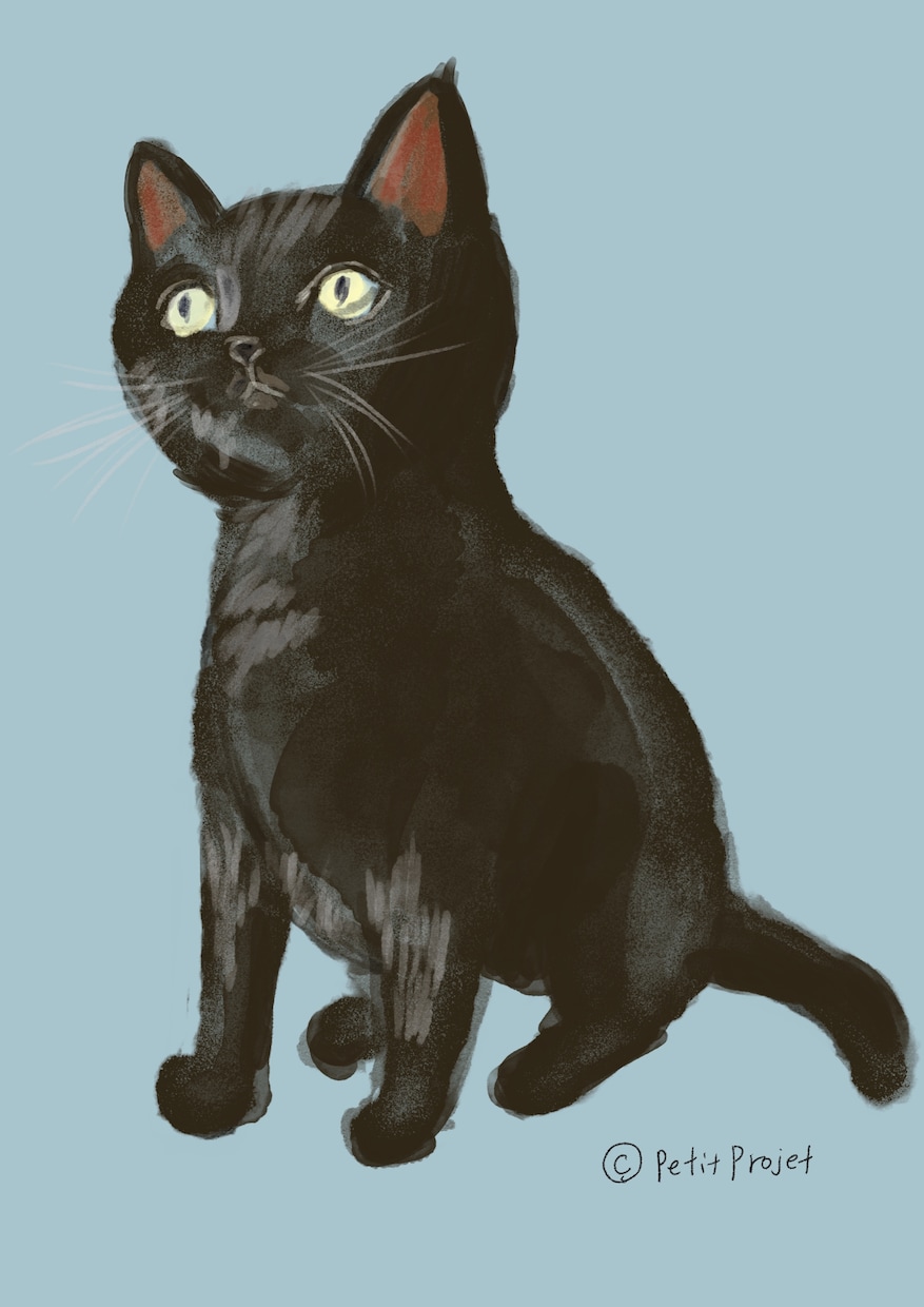 あなたの愛猫を描きます 愛猫の魅力をアートに！世界に一つだけのペットポートレート イメージ2