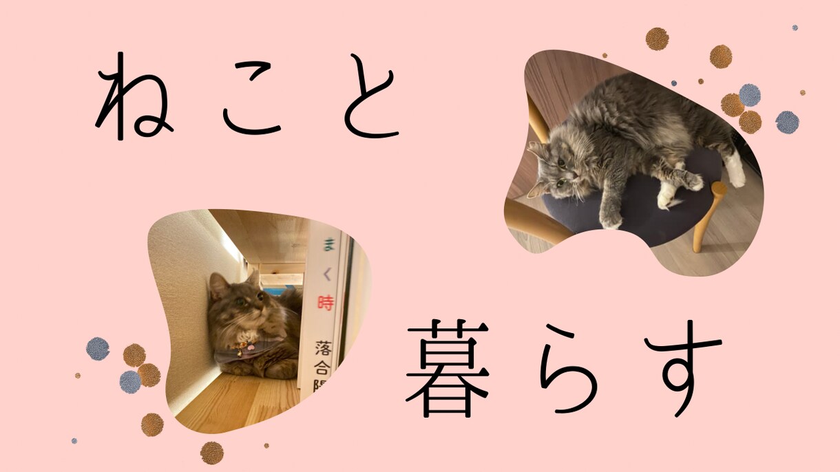 you tube 商品サムネイルなど作成します パッと目に付くおしゃれなサムネ、シンプルなサムネ作成 イメージ4