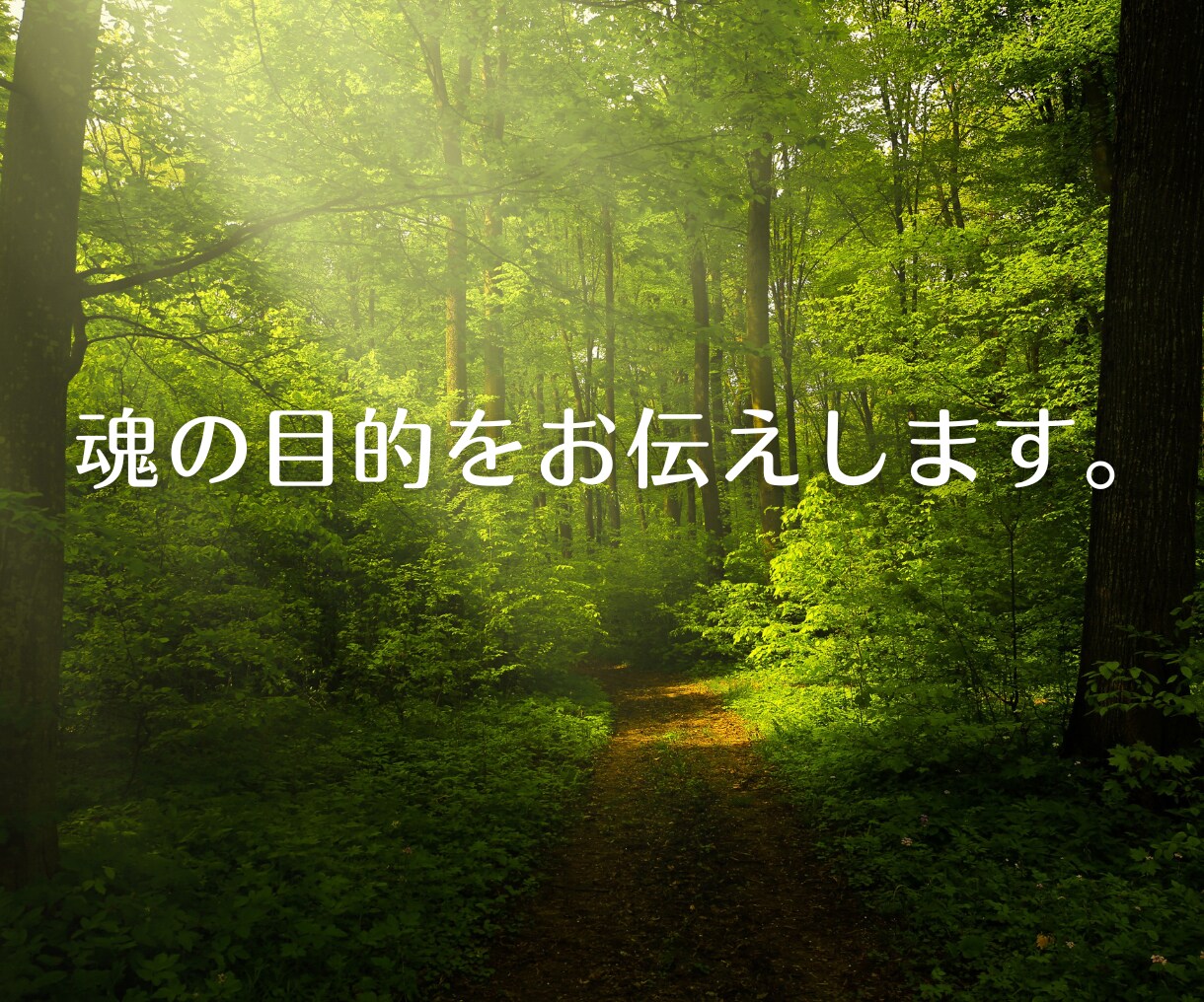 魂の目的★チャネリング×リーディングで鑑定します 《高次元》と繋がりチャネリングによる現実的な助言で望む未来へ イメージ3