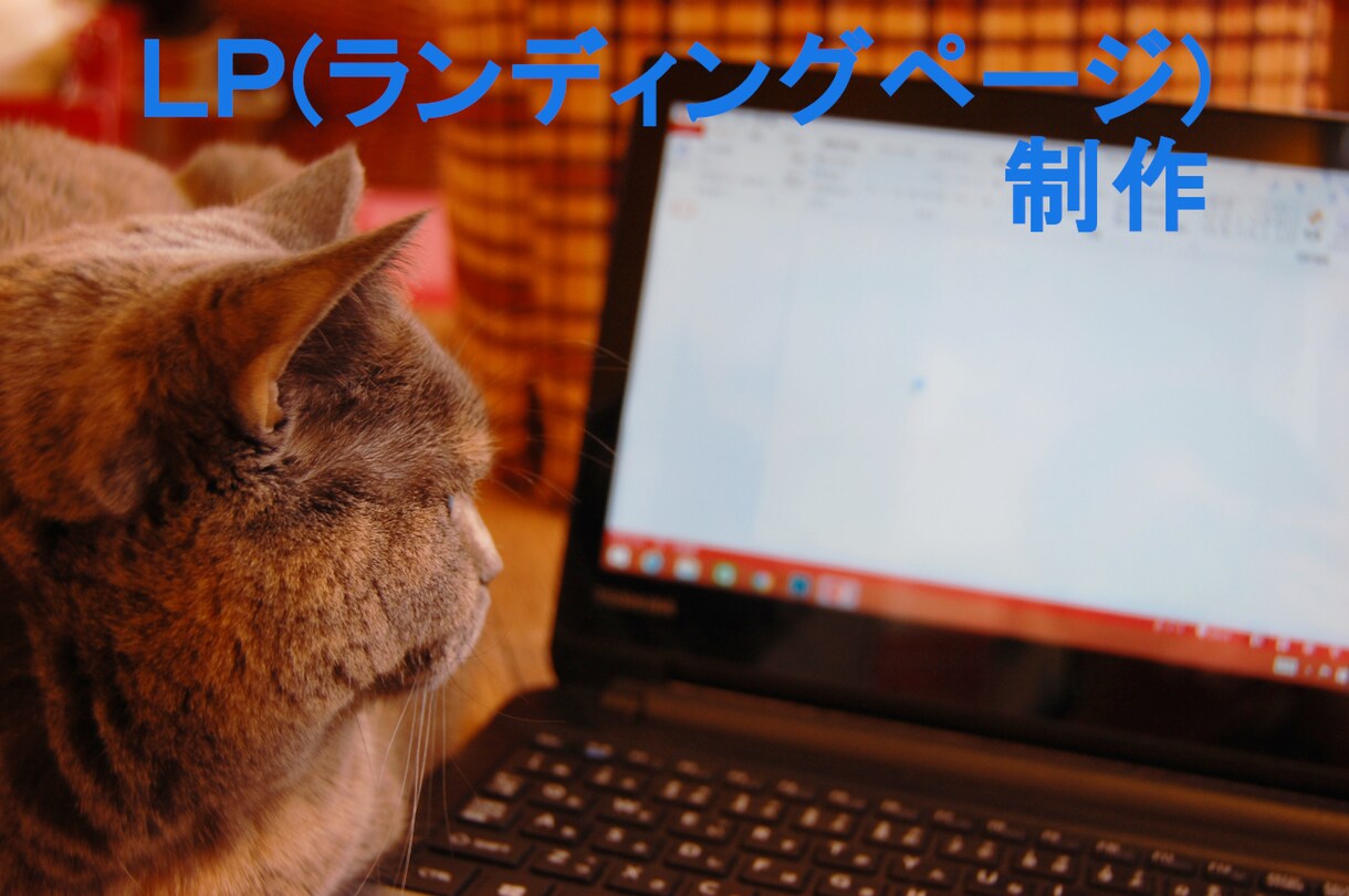 ユーザーエクスペリエンスを考慮したＬＰ作ります 「気になる」ＬＰ，またはデザイン再現度の高いＬＰを作ります イメージ1