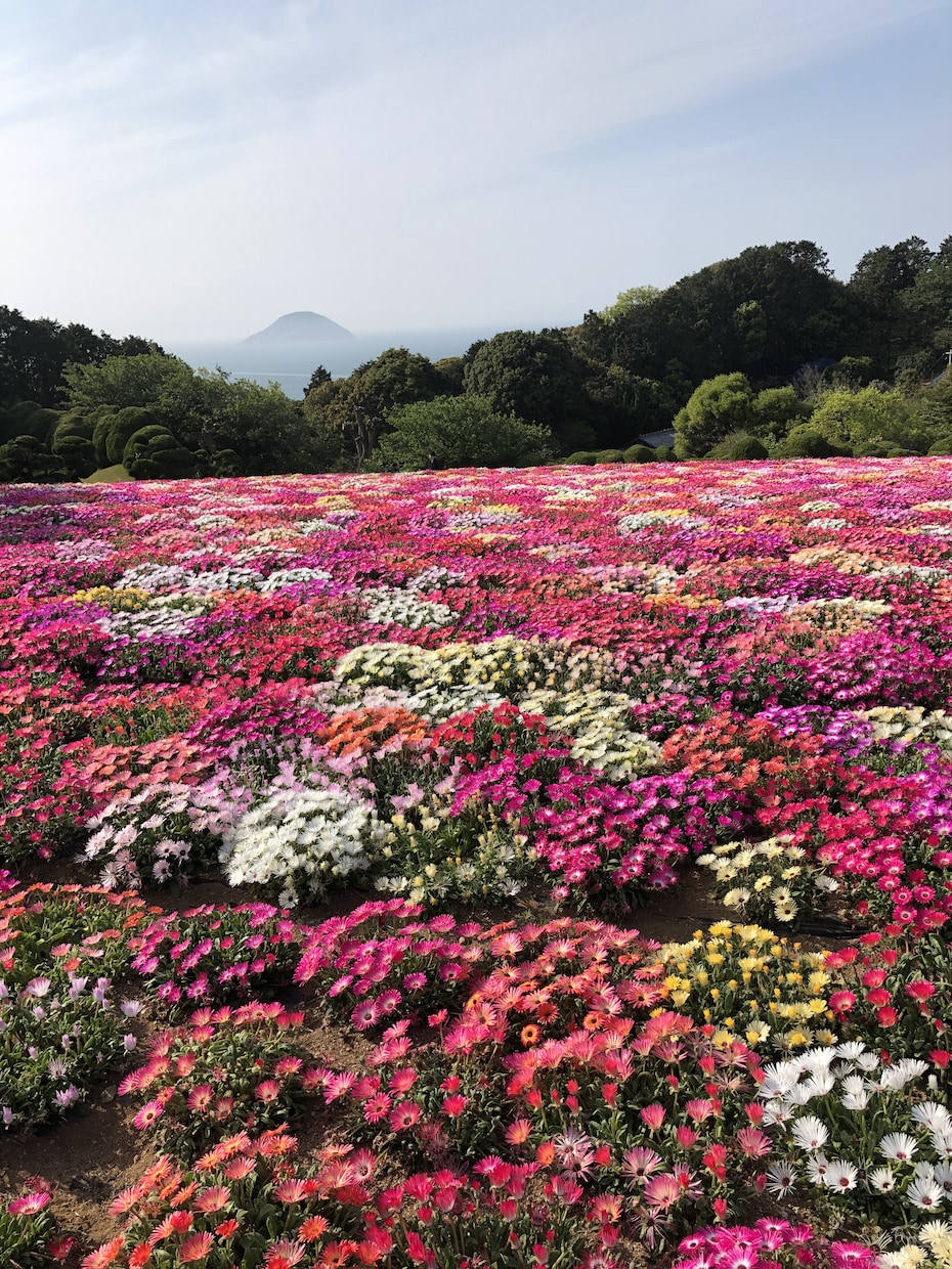 最長7日まで！悩みや愚痴を聞きます 最長7日間聞きます。あなたの癒しになれば幸いでございます。 イメージ1