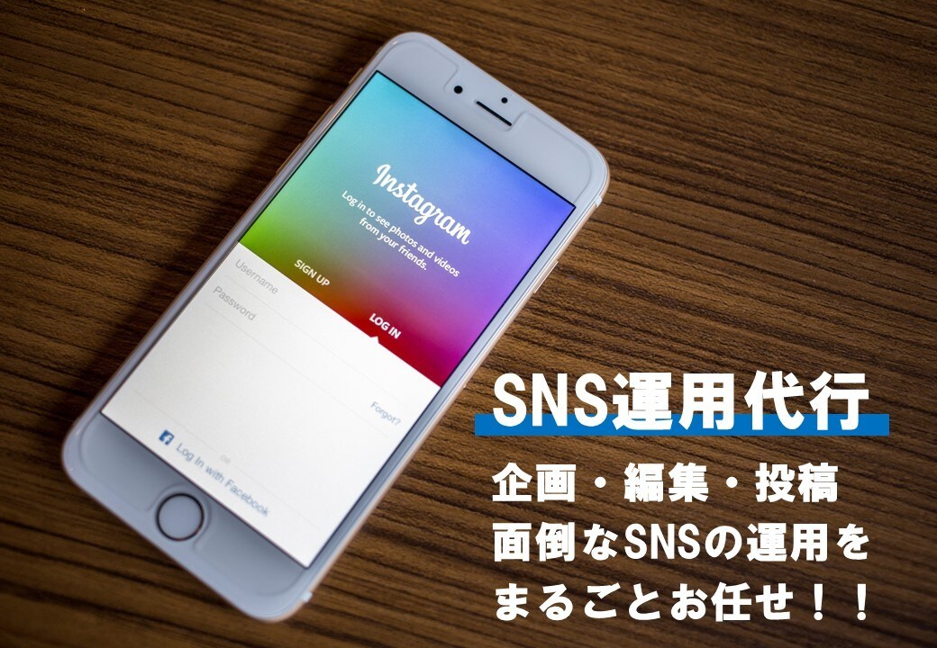 広現在告代理店勤務のプロがSNS運用代行します めんどうなSNSの運用を代行します！ イメージ1