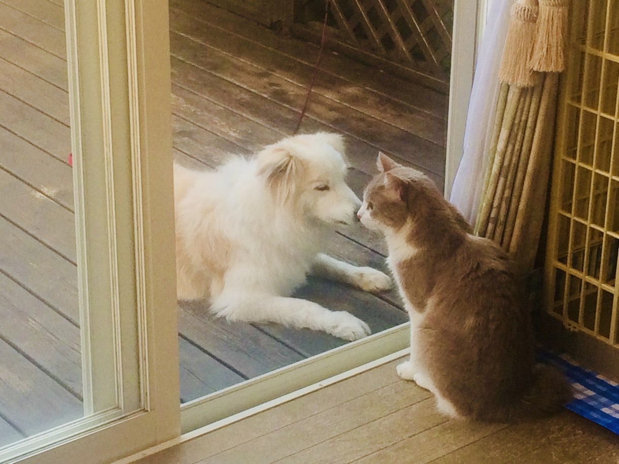 秘密のコイバナ♡口には出せない密かな想いを伺います ドクターと付き合ってるけど言えない！内緒のお話誰か聞いて❗ イメージ6