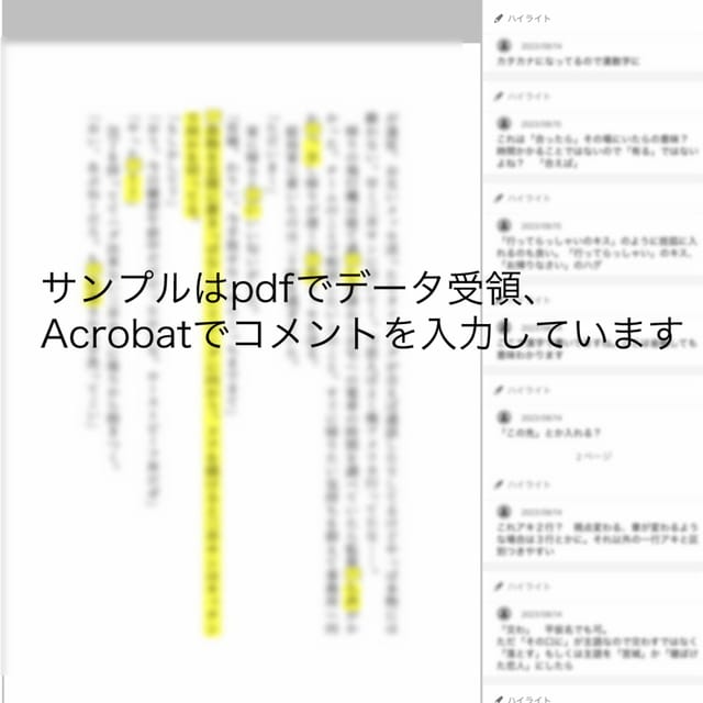 有資格者オタクが校閲・アドバイスします 一次二次ジャンル問わず、同人誌、Web掲載に イメージ2