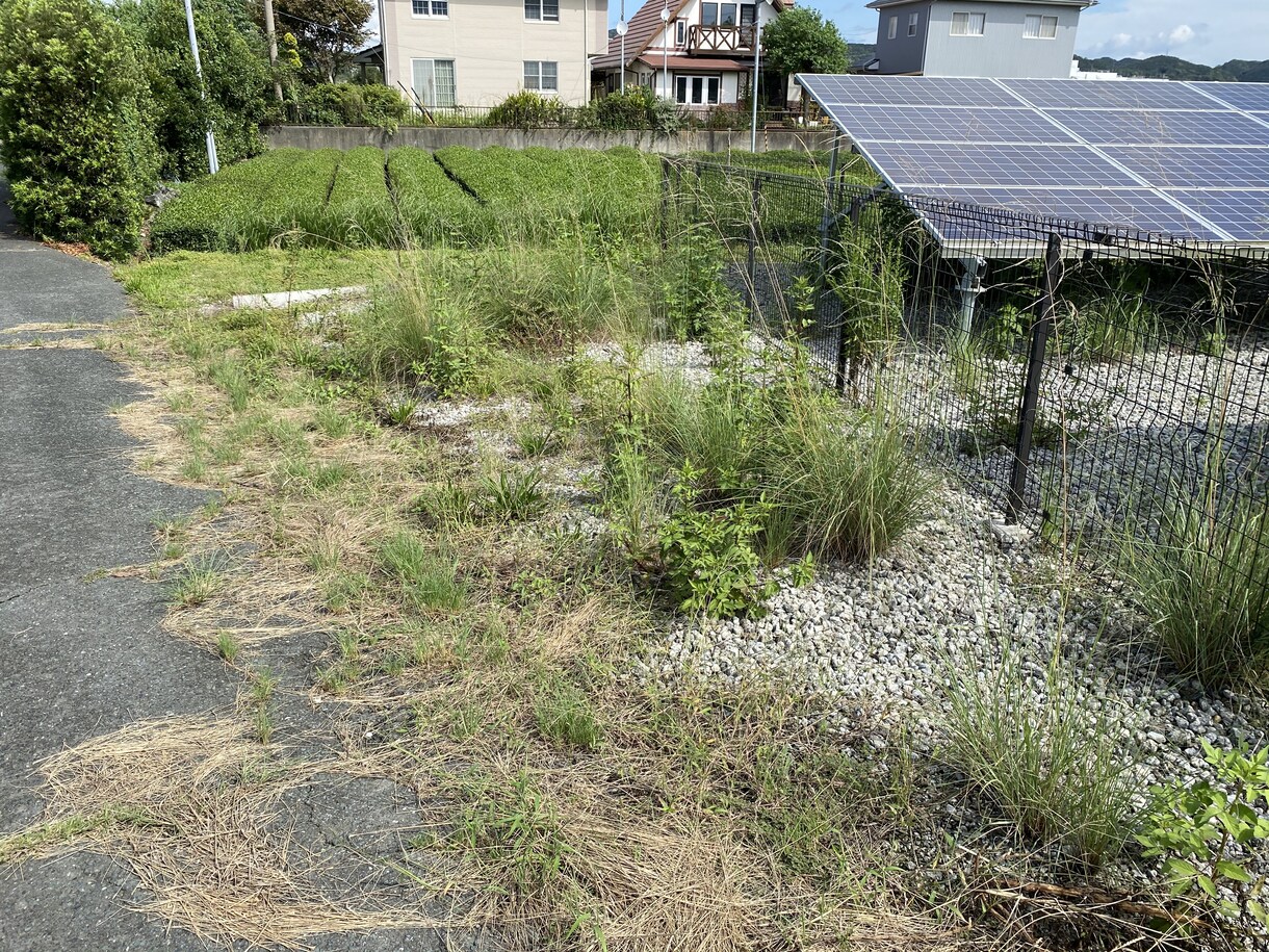 産業用太陽光発電所の除草を行います 元野立て太陽光開発担当者が行う、除草代行と点検作業です イメージ7