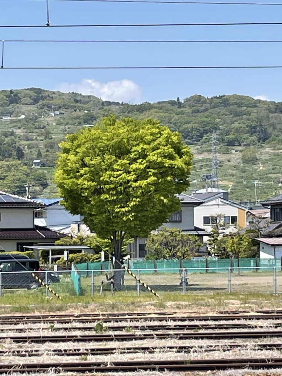 あなたのまんま⭐️そのままお話し聞きます カウンセリングじゃないあなたの思いに寄り添います イメージ2