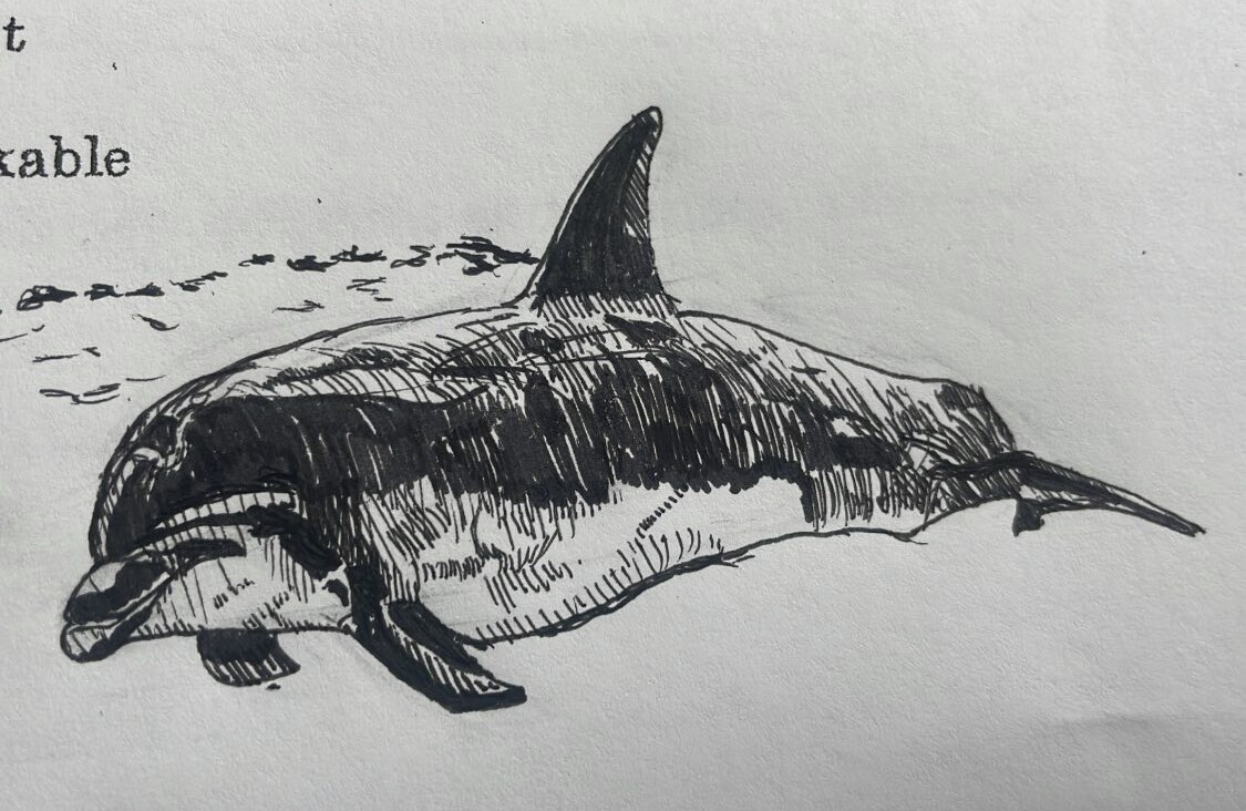 皆様の思い出の人、物、風景を描きます 心に残る人、愛犬、愛車の絵など、白黒デッサンで描き上げます イメージ3