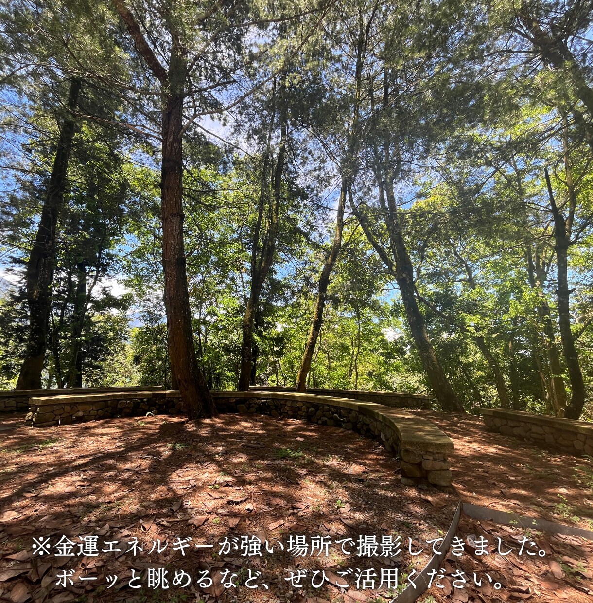 金運を覚醒させる気功ヒーリングを行います 本気で人生を変えたい方のみ｜あなたの金運の根源を書き換えます イメージ6