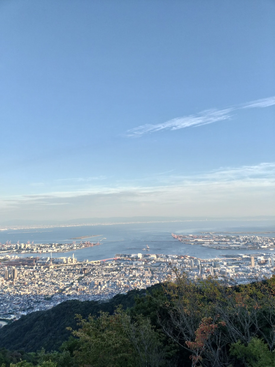 光と愛の将棋道 — 3日間自由セッションしています あなたの現局面から光と愛のカウンセリングしていきます イメージ6