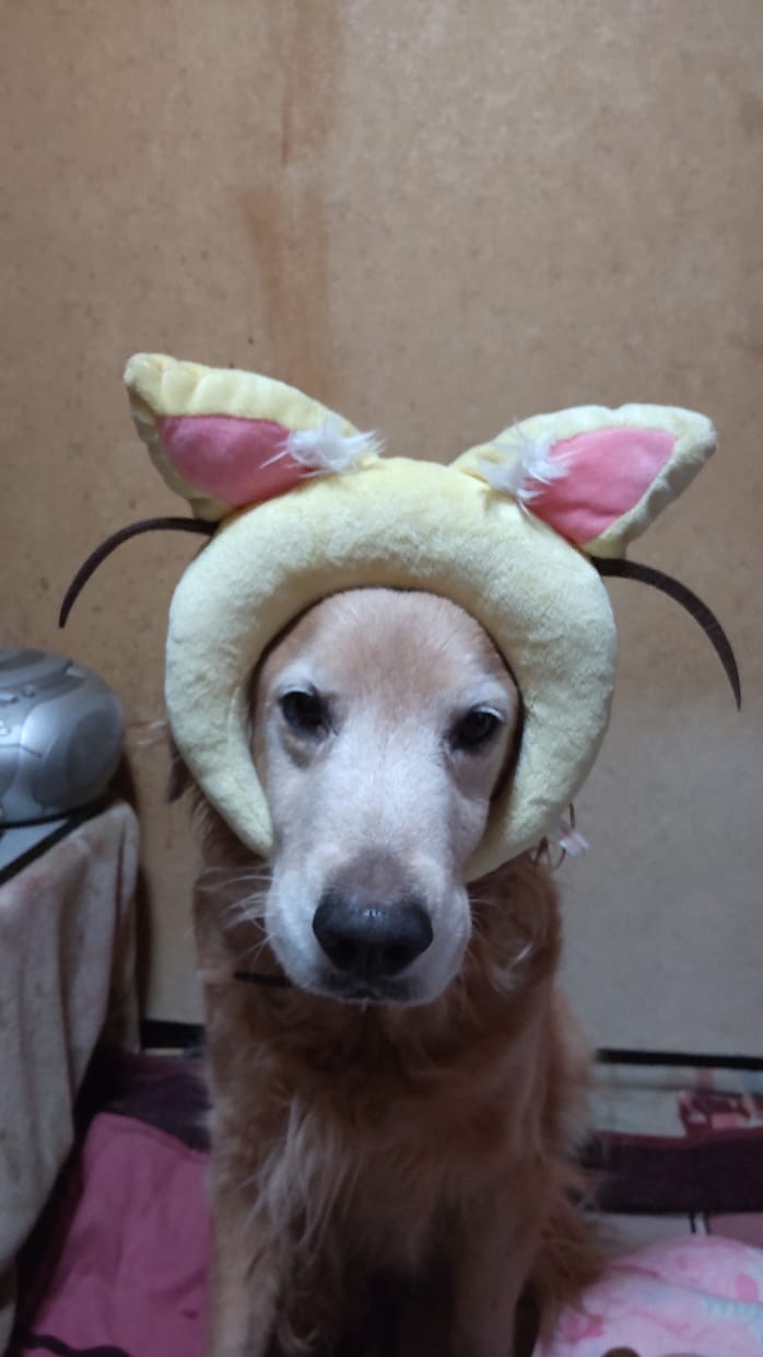 悩み愚痴などのお話を聞かさせて頂きたく思います 自律神経で辛い思いをされてる方の気持ちが楽になればと思います イメージ2