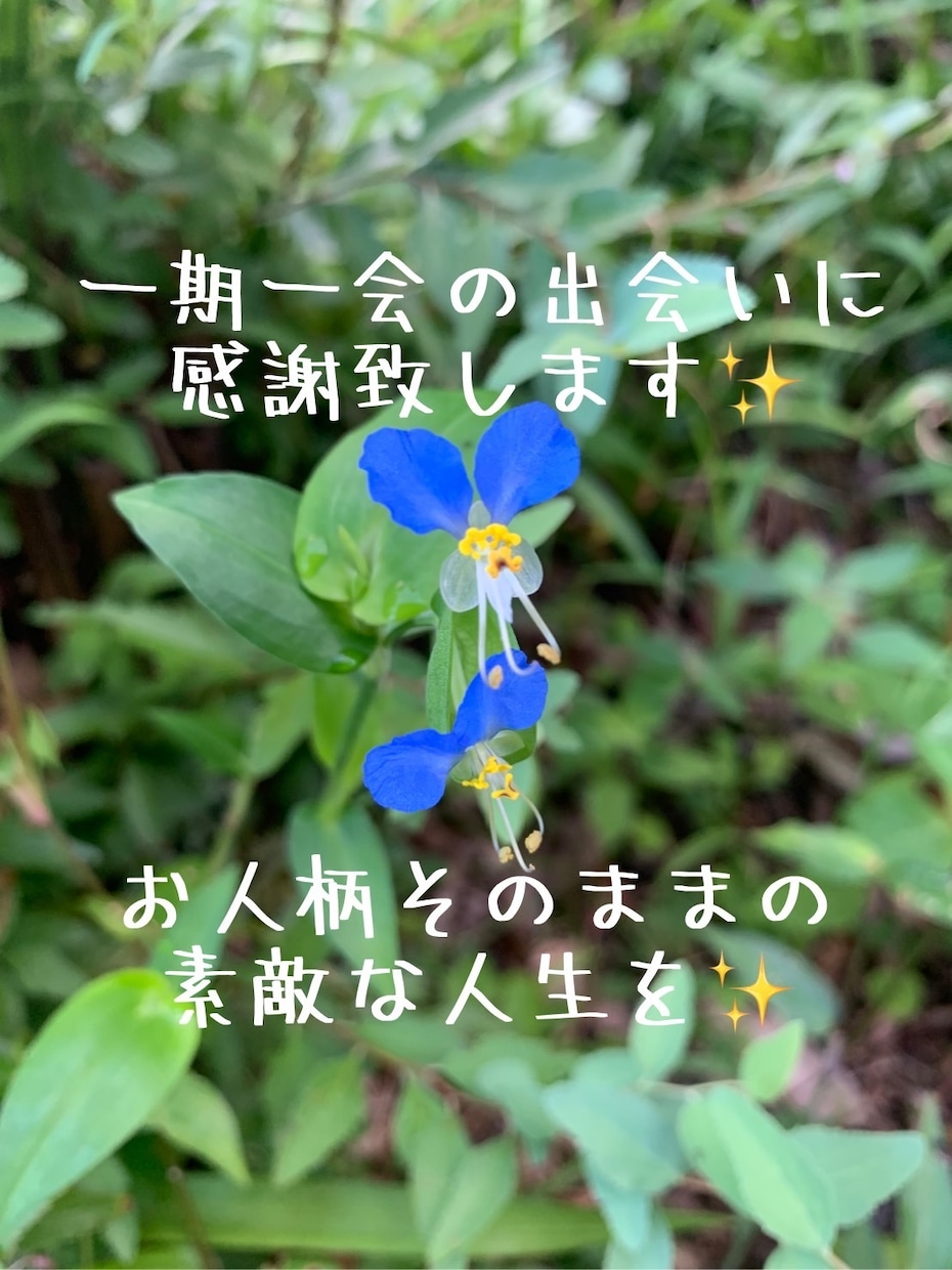 心をホッとさせて、私の幸せをお裾分けします 変な声の私とお話しして人生をチェンジして下さい！絶対大丈夫！ イメージ5