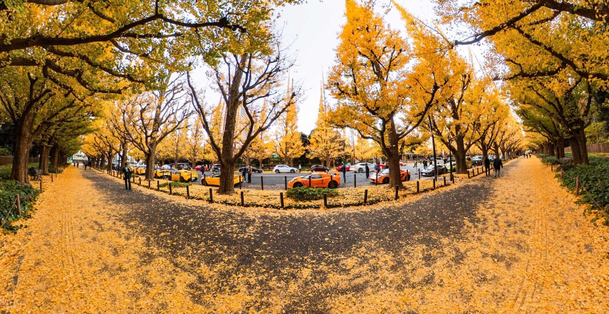 パノラマ３６０度写真やバーチャルツアー作成します グーグルマイビジネスからストリートビュー、ウェブ埋め込み対応 イメージ1