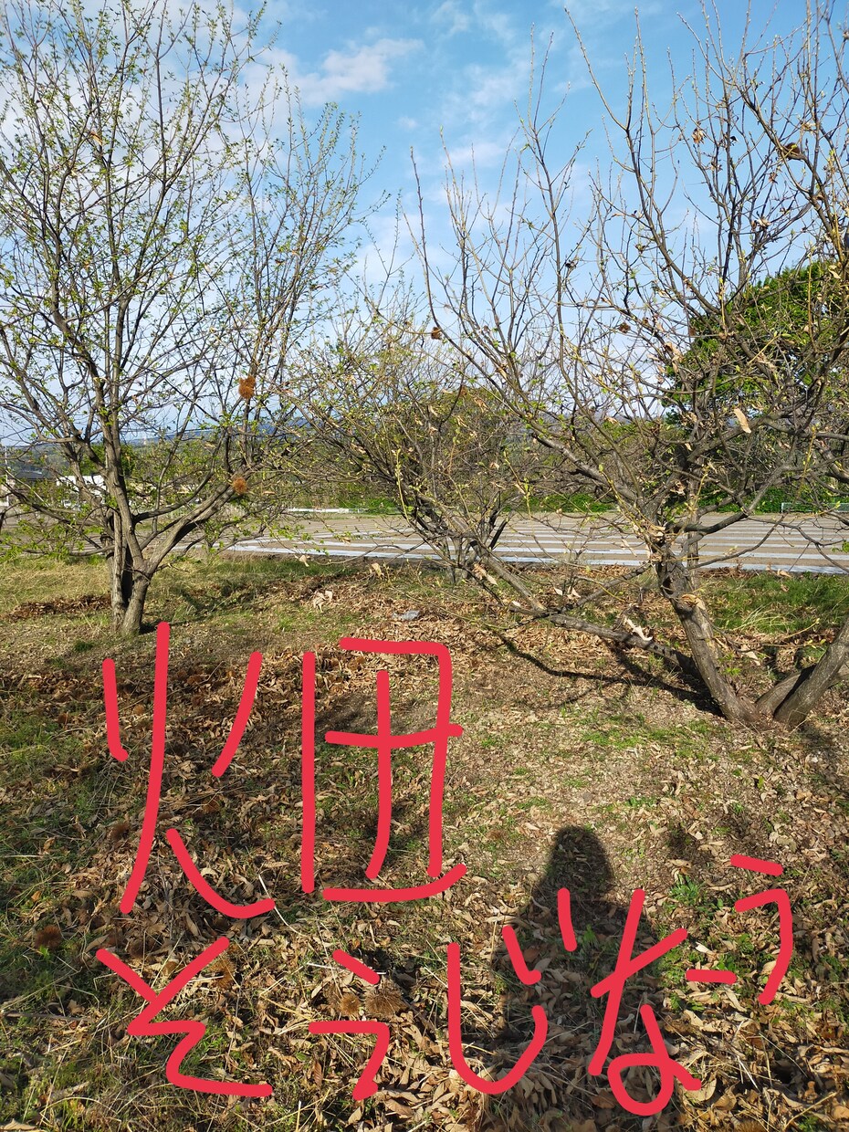 ききます なんか言いたいことある？なければ無いね。 イメージ3