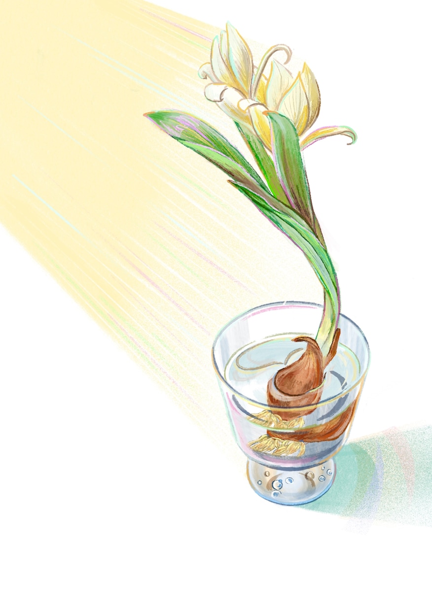 お花や花器のイラストを描きます お花の持つ空気感を大事に雰囲気のあるイラスト イメージ1