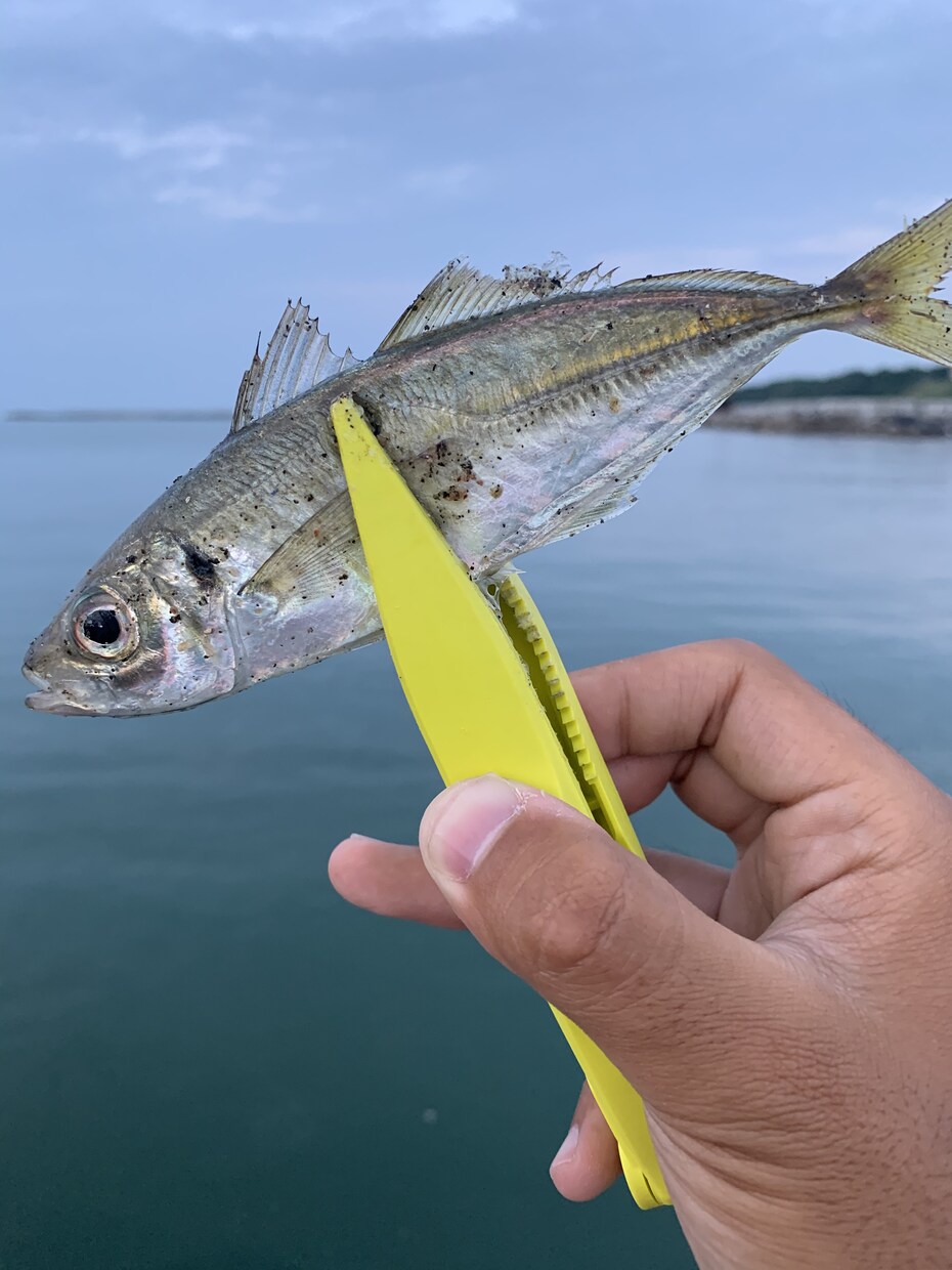 バス釣りの"基本"と"釣る方法"教えます 楽しく！分かりやすく！役立つ事を教えます！ イメージ3