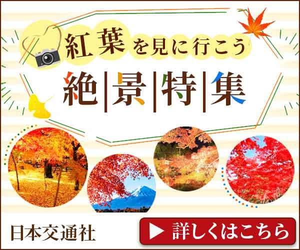 格安でバナーの制作をします バナーを安く作ってほしい人はいませんか？ イメージ6