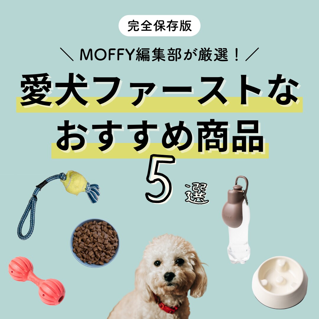 ターゲットに刺さるInstagram運用を教えます 今後、運用ノウハウを蓄積していきたいお客さま向け イメージ4