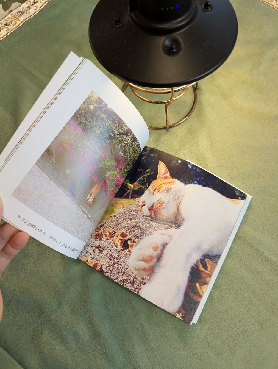 写真から、あなただけの宝物アルバムをお作りします 写真が増えて整理できない…そんなあなたの代わりに作ります イメージ3