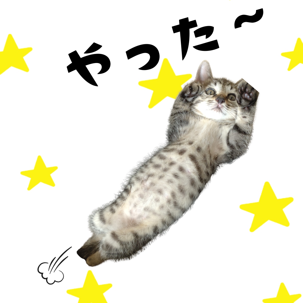 ペット写真からLINEスタンプ16個セット作ります ☆大切なペットをオリジナルLINEスタンプに イメージ8