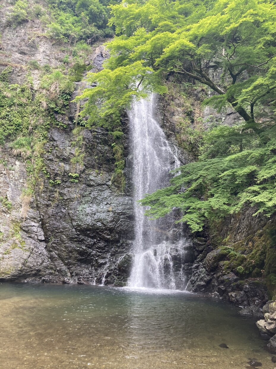 どんなことでも聞きます あなたの頑張り教えてください。 イメージ1