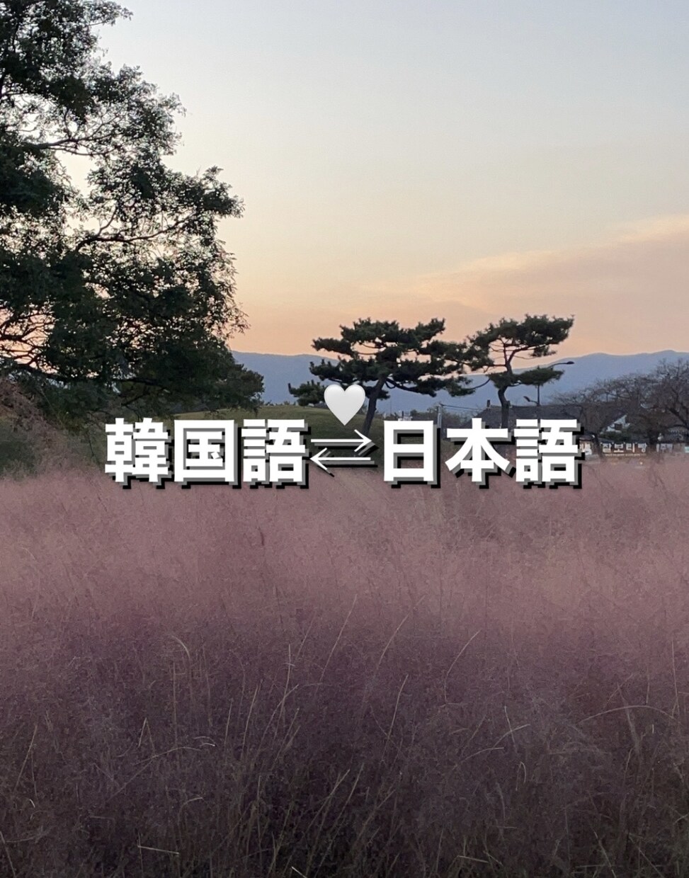 一律千円で日本語⇄韓国語の翻訳をします 韓国留学経験あり！TOPIK6級所持者！ イメージ1